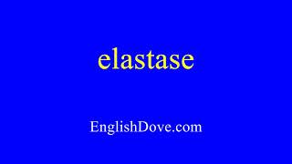 How to pronounce elastase in American English [upl. by Synn]