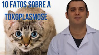 10 coisas que você precisa saber sobre a toxoplasmose em gatos [upl. by Avruch]