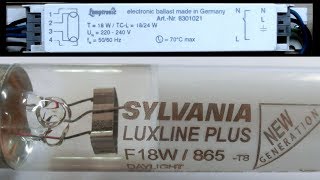 Leuchtstoffröhre mit elektronischem Vorschaltgerät 38565 fps [upl. by Marion693]