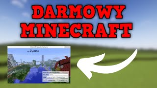 PRAWDA O quotDARMOWYMquot MINECRAFCIE [upl. by Lleuqram]