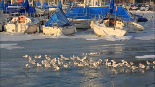 ICE BOAT  FROZEN PORT CHOISEUL VERSOIX LAKE GENEVA [upl. by Boffa227]