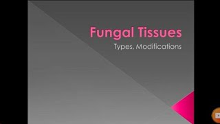 Fungal Tissues  Modifications of Hyphae  Plectenchymma  Pseudoparenchyma  Stroma  Pak Botanist [upl. by Airogerg499]