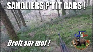 Sangliers en battue  Là ça craque [upl. by Serg43]