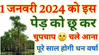 1 जनवरी 2024 नए साल के दिन इस पेड़ को छूकर आ जाना उसी टाइम गरीबी मिट जाएगा आगे आपके मर्जी [upl. by Anaibaf463]