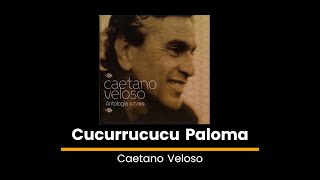 Cucurrucucu Paloma  Caetano Veloso  Lyrics [upl. by Laius]