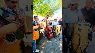 countrymusic Street Latin Band Fiesta Musica de COMBO shorts [upl. by Anders]