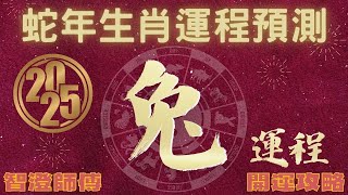 2025年 乙巳年 生肖運勢 蛇年十二生肖運程 —【肖兔】  概括運程四季不同時段出生 屬兔運程  開運攻略  生肖運程 分析  愛情、事業、正財、橫財、健康預測  生肖運程 2025增運 [upl. by Cai]