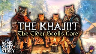 Lore Of The Khajiit A Skyrim Bedtime Story  Cozy Elder Scrolls ASMR Lore amp Ambience For Sleep [upl. by Norud]