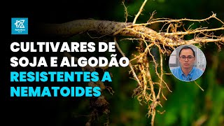 TUDO O QUE VOCÊ PRECISA SABE SOBRE RESISTÊNCIA A NEMATOIDES EM SOJA E ALGODÃO [upl. by Yedorb548]