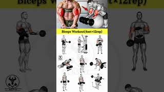 Biceps workout  biceps workout with dumbbells  biceps  Best Bicep workout biceps bicepworkout [upl. by Fasano]