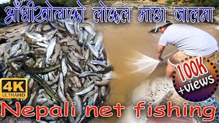 Amazing Fishing  कत्ती मज्जाले माछा मारेकाे आँधीखाेलाकाे  Best Fishing Video  Net Fishing Video [upl. by Sexela]