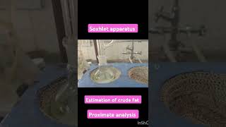 Soxhlet apparatus estimation of crude fat proximate analysis animalnutrition [upl. by Iorgo]