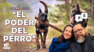 Salmo 2220 ¿Cuál es “el poder del perro” [upl. by Imas]