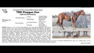 Pitzer Ranch Spring Sale 2024 Lot 130 TRR PLAYGUN ZAN [upl. by Murage]