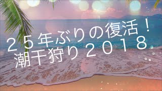 潮干狩り ２５年振り復活！ 宇城市長浜２０１８ [upl. by Kali]