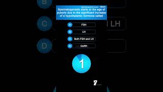 Spermatogenesis starts at the age of puberty due to the significant increase of a hypothalamic ho [upl. by Hasheem]