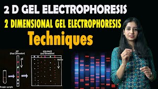 2 D Gel Electrophoresis I 2 Dimensional Gel Electrophoresis I Complete Details I Techniques [upl. by Kina]