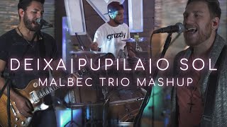 DeixaPupilaO Sol  MALBEC TRIO Mashup [upl. by Sinnylg]