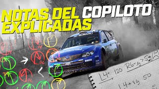 NOTAS del COPILOTO explicadas  DIRT RALLY 20 [upl. by Seafowl]