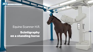 Equine Scanner HR  Scintigraphy on a standing horse [upl. by Herstein419]