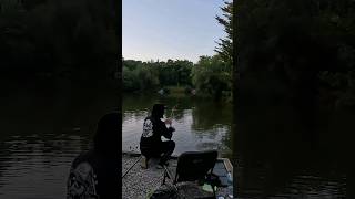 20lb Carp to the net 🎥🔥shorts fishingshorts carpfishing fishing pondfishing coarsefishing [upl. by Merchant]