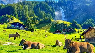 Switzerland Countryside life  Stäubifall Most beautiful Waterfall on Earth  Relaxing walk [upl. by Atneciv115]