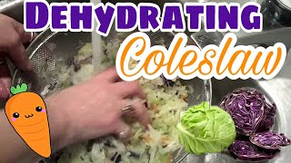 DEHYDRATING Coleslaw Mix  Review On Dehydrated Vegetables [upl. by Bartholomew]