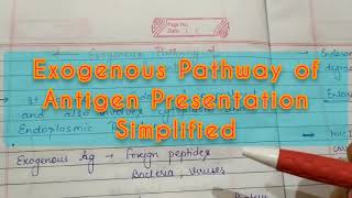 Exogenous Pathway of Antigen Presentation [upl. by Barabbas]