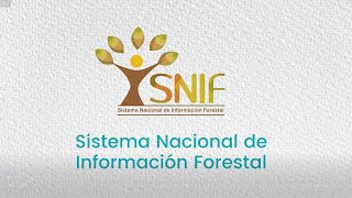 Sistema Nacional de Información Forestal  SNIF [upl. by Leur538]