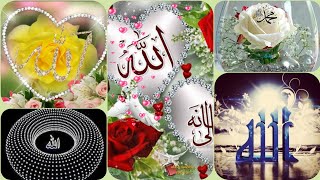 New islamic dp for Whatsapp  Allah Muhammad dpz  best Islamic dpz Islamic dp Dp for girl [upl. by Hector]