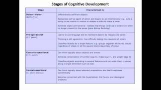 Piaget 1  5  Stages of Development [upl. by Anen]