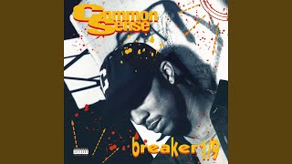 Breaker 19 Beatnuts Remix [upl. by Heath747]