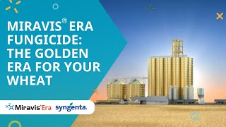 Miravis® Era fungicide The golden era for your wheat [upl. by Ameyn899]