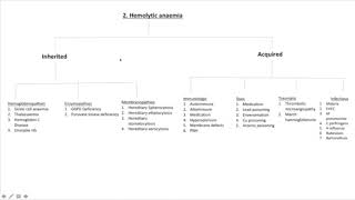 Algorithm 2  Haemolytic Anaemia [upl. by Nalrah]