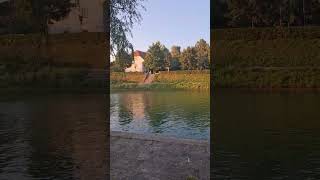 PEOPLE CHILLING OUT BY LJUBLJANICA RIVER IN LJUBLJANA SLOVENIA SHORTS CHILLINHG BEER [upl. by Yulma]