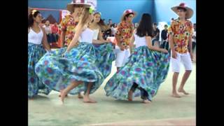 Carimbó Dança Típica do Pará Ai menina [upl. by Krakow253]