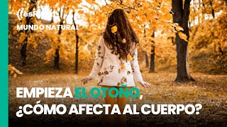 Mundo Natural Empieza el otoño ¿cómo afecta al cuerpo [upl. by Eugatnom]