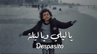 أغنية يا ليلي ويا ليلة  ديسباسيتو  Ya Lili  Despacito  Official 🔥 Video [upl. by Sandie]