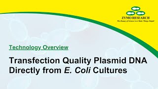 Transfection Quality Plasmid DNA Directly from E Coli Cultures  Zymo Research [upl. by Saks351]