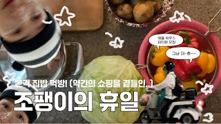 sub jpeng조팽이의 휴일🐌🍅🥬집밥 먹방에 진심인 집돌이의 휴일 feat걍 대충 약간의 쇼핑  내 차를 지켜주는 인형들 소개  애플하우스 꿀조합 [upl. by Seel]