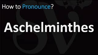 How to Pronounce Aschelminthes CORRECTLY [upl. by Aneekal]