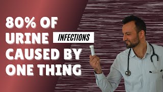 80 of urine infections are caused by one thing [upl. by Assereht]