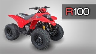 Quadzilla R100  Overview [upl. by Roose]