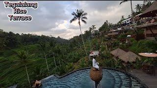 Tour in Bali Day 32 Tegalalang rice terrace Day 4 Spa  back to Hong Kong nanaypazsamutsari2351 [upl. by Anek927]