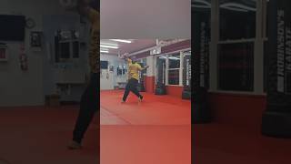 3 Kuas  coiling and lifting baguazhang internalkungfu TheTime morrisday [upl. by Hollah]