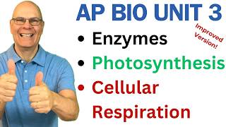 Crush AP Bio Unit 3 Enzymes Photosynthesis and Respiration [upl. by Fariss]