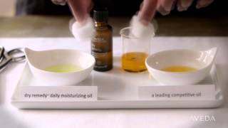 Aveda Dry Remedy™ Daily Moisturizing Oil [upl. by Lund655]