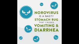 Norovirus is a nasty stomach bug [upl. by Gelman]