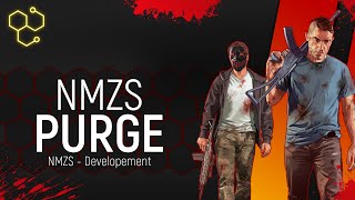 NMZS Purge Script FiveM ESX [upl. by Eelam3]