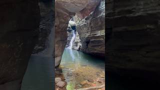 Talakona waterfall  Tirupathi  Jungle talakona talakonawaterfall tirupati nature viralvideo [upl. by Ayerdna]